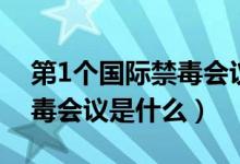 第1個(gè)國際禁毒會(huì)議是在哪里(第1個(gè)國際禁毒會(huì)議是什么)