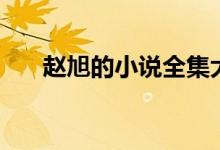 趙旭的小說(shuō)全集大結(jié)局(趙旭的小說(shuō))