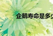 企鵝壽命是多少啊（企鵝的壽命）