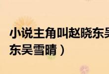 小說(shuō)主角叫趙曉東吳雪晴鄭偉(言情小說(shuō)趙曉東吳雪晴)