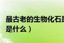最古老的生物化石是什么(最古老的生物化石是什么)