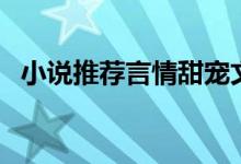 小說推薦言情甜寵文有肉短篇（小說推薦）