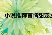 小說(shuō)推薦言情甜寵文有肉長(zhǎng)篇(小說(shuō)甜文)