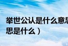 舉世公認(rèn)是什么意思簡(jiǎn)單說(shuō)法(舉世公認(rèn)的意思是什么)