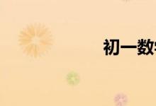 初一數(shù)學(xué)因式分解