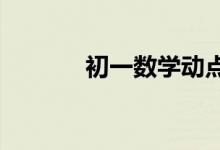 初一數(shù)學(xué)動(dòng)點(diǎn)問(wèn)題有什么技巧