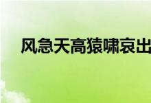 風急天高猿嘯哀出自哪首詩（作者是誰）