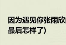 因?yàn)橛鲆娔銖堄晷赖慕Y(jié)局(因?yàn)橛鲆娔銖堄晷雷詈笤鯓恿?