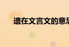 遺在文言文的意思(具體有哪些含義)