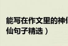 能寫在作文里的神仙句子(能用在作文里的神仙句子精選)