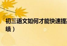 初三語(yǔ)文如何才能快速提高成績(jī)(如何提高初三學(xué)生語(yǔ)文成績(jī))