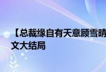 【總裁緣自有天意顧雪晴龍哲瀚/夏小霜】紅塵籬落小說(shuō)全文大結(jié)局