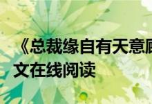 《總裁緣自有天意顧雪晴龍哲瀚》夏小霜開全文在線閱讀