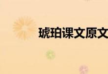 琥珀課文原文(琥珀課文原文)