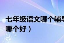 七年級語文哪個輔導(dǎo)書好（七年級語文輔導(dǎo)書哪個好）