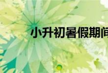 小升初暑假期間如何預(yù)習(xí)初一語(yǔ)文