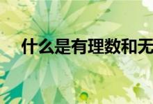什么是有理數(shù)和無理數(shù)(什么是有理數(shù))
