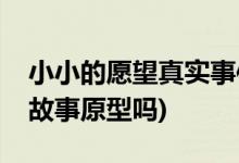 小小的愿望真實事件改編的嗎(小小的愿望有故事原型嗎)