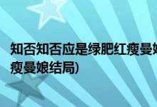 知否知否應是綠肥紅瘦曼娘第幾集下線(知否知否應是綠肥紅瘦曼娘結局)