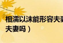 相濡以沫能形容夫妻關(guān)系嗎(相濡以沫是形容夫妻嗎)