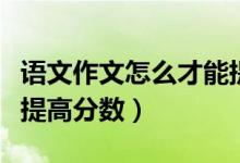 語文作文怎么才能提高分?jǐn)?shù)（語文作文該如何提高分?jǐn)?shù)）