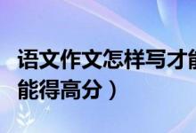 語(yǔ)文作文怎樣寫才能得高分（語(yǔ)文作文怎樣寫能得高分）