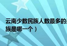 云南少數(shù)民族人數(shù)最多的是什么族(云南人口最多的少數(shù)民族是哪一個(gè))