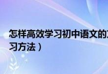 怎樣高效學(xué)習(xí)初中語文的方法詳解（初中語文有什么高效學(xué)習(xí)方法）
