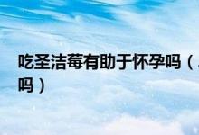 吃圣潔莓有助于懷孕嗎(2年沒懷孕吃圣潔莓懷孕了 是真的嗎)