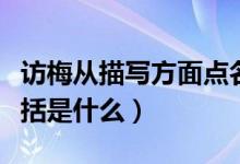 訪梅從描寫方面點(diǎn)名了什么（訪梅主要內(nèi)容概括是什么）