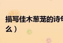 描寫佳木蔥蘢的詩句是（佳木蔥蘢的詩句是什么）