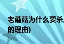 老蘑菇為什么要殺三爺(老酒館老蘑菇殺三爺?shù)睦碛?