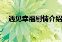 遇見(jiàn)幸福劇情介紹(遇見(jiàn)幸福主要講什么)