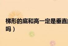 梯形的底和高一定是垂直的（梯形的高和底一定是垂直的對(duì)嗎）