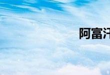阿富汗雙語(yǔ)例句