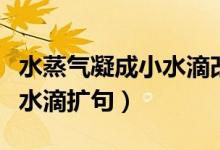 水蒸氣凝成小水滴改為擴句（水蒸氣凝成了小水滴擴句）