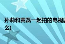 孫莉和黃磊一起拍的電視劇(孫莉和黃磊一起拍的電視劇是什么)
