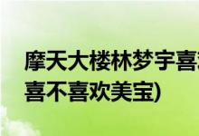 摩天大樓林夢宇喜歡美寶嗎(摩天大樓林夢宇喜不喜歡美寶)