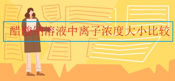 醋酸鈉溶液中離子濃度大小比較