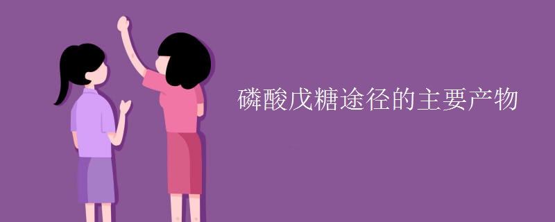 磷酸戊糖途徑的主要產(chǎn)物