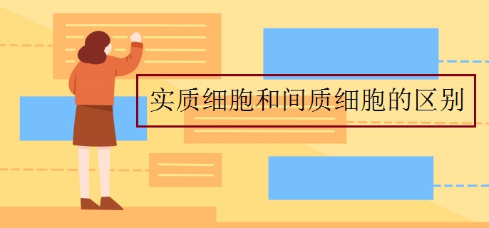 實(shí)質(zhì)細(xì)胞和間質(zhì)細(xì)胞的區(qū)別
