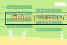 中考快訊：膜脂分子的運動方式