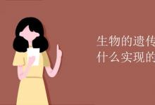 中考快訊：生物的遺傳和變異是通過什么實現(xiàn)的