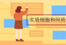 中考快訊:實(shí)質(zhì)細(xì)胞和間質(zhì)細(xì)胞的區(qū)別