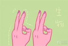中考快訊:植物細(xì)胞的基本結(jié)構(gòu)有哪些