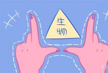 中考快訊:初中生物的學(xué)習(xí)方法 尖子生高效學(xué)習(xí)法分享