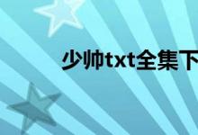 少帥txt全集下載的搜索數(shù)據(jù)展示