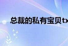 總裁的私有寶貝txt下載的搜索數(shù)據(jù)展示
