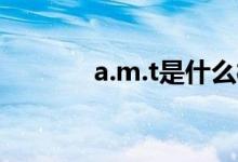 a.m.t是什么梗(r.i.p什么梗)