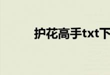 護花高手txt下載的搜索數據展示